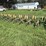john-deere-8-image-2