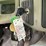 2016-international-workstar-7400-image-73