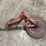 international-harvester-cultivator-stabilizer-wheel-image-1