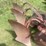 #1638-•-3-bottom-moldboard-plow-image-14