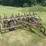 #1634-•-vintage-spring-tooth-plow-image-4