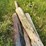 #5740-•-(4)-telephone-poles-image-6