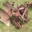 #1638-•-3-bottom-moldboard-plow-image-12