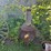 #6280-•-antique-fire-pit-image-1