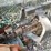 ditch-witch-3500-image-20