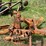 #1639-•-allis-chalmers-moldboard-plow-image-11