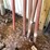 #1652-•-assorted-belts-and-floor-jacks-image-3