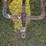 #119-•-farmall-md-image-21