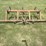 #1633-•-vintage-chisel-plow-image-4