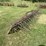 #1642-•-ferguson-tine-weeder-image-6