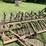 #1646-•-antique-horse-drawn-field-cultivator-image-9