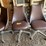 #6273-•-(4)-rolling-chairs-image-3