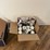 #6247-•-assortment-of-glassware-image-2