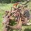 #1638-•-3-bottom-moldboard-plow-image-11