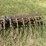 #1642-•-ferguson-tine-weeder-image-11