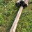 #5740-•-(4)-telephone-poles-image-3