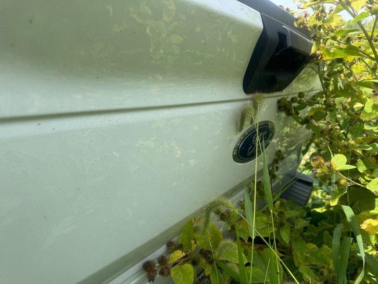 2019-ford-f150-xlt-image-6