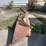 #1624-•-single-shank-deep-ripper-image-1