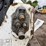 2012-bobcat-t750-image-10