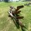 #1638-•-3-bottom-moldboard-plow-image-5