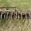 #1642-•-ferguson-tine-weeder-image-10