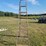 #5743-•-8'-wooden-ladder-image-3