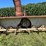 #5688-•-3-point-snow-blower-image-5