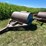 #5718-•-homemade-rollers-image-6