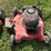 #6263-•-(2)-push-mowers-image-7