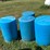 #6267-•-(4)-poly-barrels-image-2