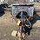 #10507-•-houle-dove-tail-trailer-(no-title)-image-2