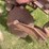#1638-•-3-bottom-moldboard-plow-image-13