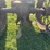 john-deere-b-image-35