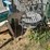 #6268-•-yard-decorations-image-3