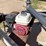 wylie-1250-image-17
