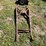 #5737-•-misc.-car-frame-and-box-and-antique-ford-tailgate-image-3