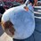 #9104-•-240-gallon-air-tank-(o4)-image-5