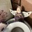 #6254-•-household-decorations-image-3