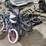 #10546-•-children's-bikes-image-2