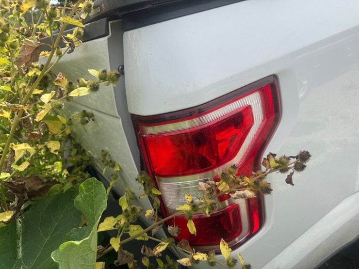 2019-ford-f150-xlt-image-29