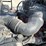 2008-ford-f750-image-8
