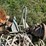 #6282-•-boat-anchors-image-4