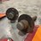 smv-signs-and-trailer-hubs-image-9