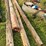 #5740-•-(4)-telephone-poles-image-1