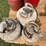 #1663-•-(3)-propane-tanks-image-2