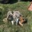 #6282-•-boat-anchors-image-1