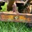 #1668-•-bolens-walk-behind-garden-tractor-image-6
