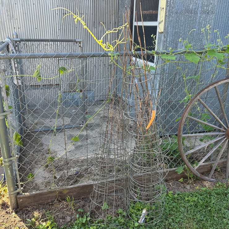 #6279 • Assortment of Tomato Cages