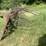 #1642-•-ferguson-tine-weeder-image-12