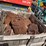 #9124-•-crate-of-concrete-wire-(o10)-image-6